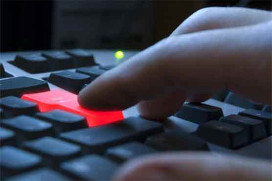 'US on risk of cyber terror'