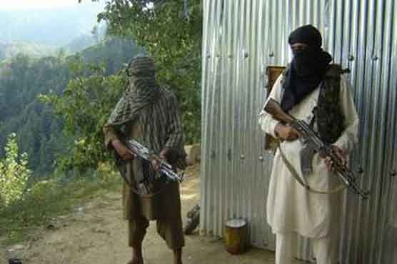 Pakistani Taliban set up base in Syria, BBC reports 