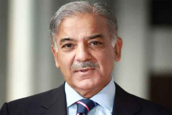 Govt working hard on energy crisis: Shahbaz