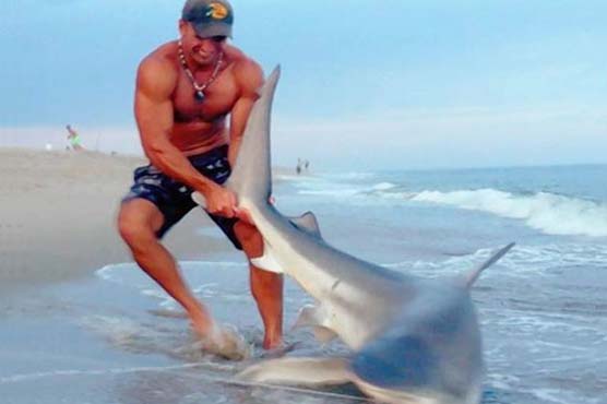 Nantucket man wrestles shark to shore