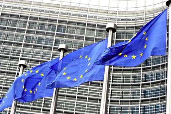 EU wrongly froze assets of Saudi business man: court 