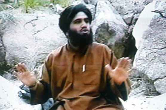 Bin Laden son-in-law accuses US of torture