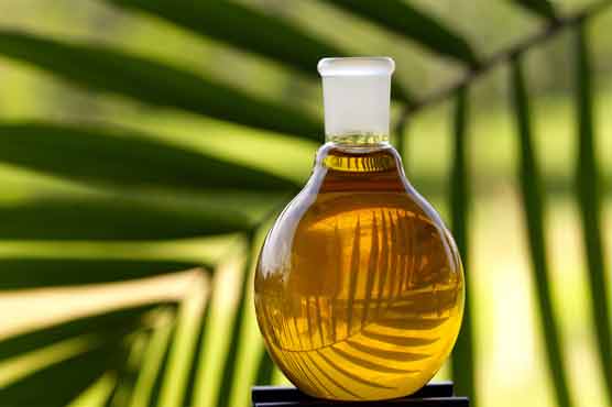 Malaysia offers cooperation in palm oil growing in Pakistan