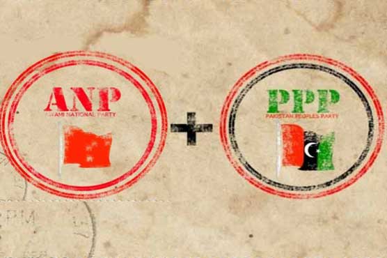 ANP to support PPP presidential candidate 