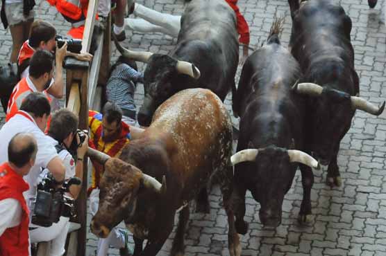 A 16-year-old boy gored to death at Spain fiesta