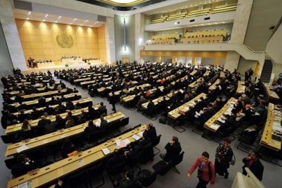 Syria is in 'free fall': UN