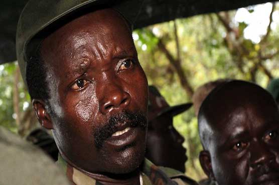 African militia poaching elephants to survive 