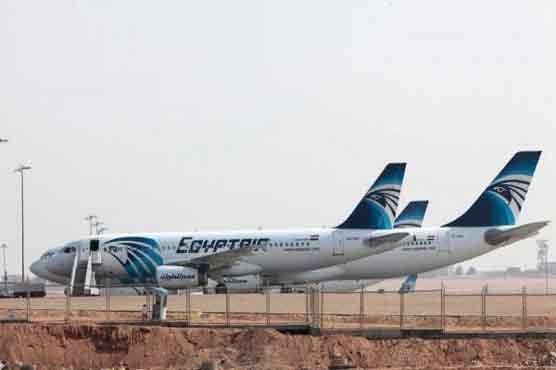 Strike at Egypt's main airport disrupts flights