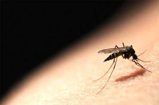 Scientists see Achilies heel for childhood malaria  