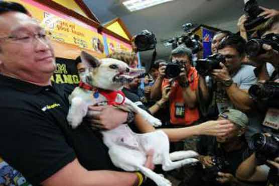 Philippine hero dog returns home from US