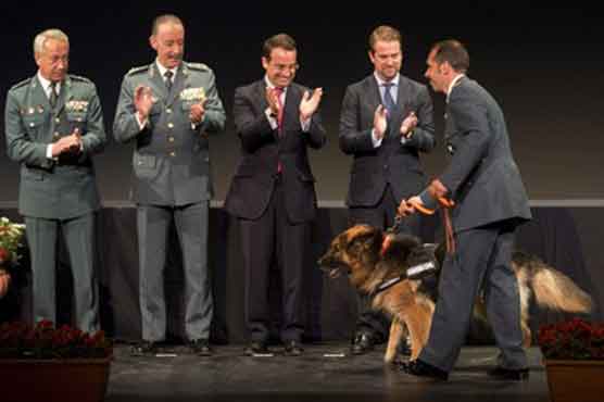 Spain police dog wins British award for bravery
