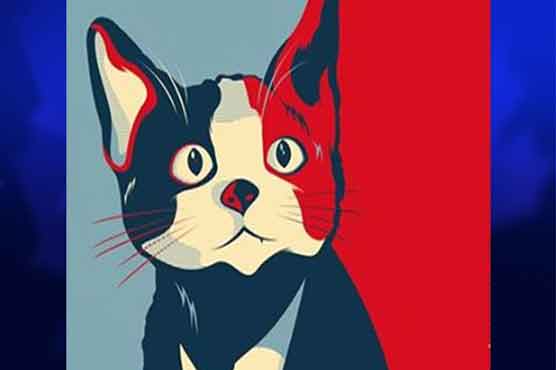 Morris the cat runs for mayor of Mexican city