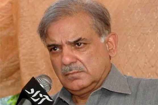 Govt making sincere efforts to end loadshedding: Shahbaz