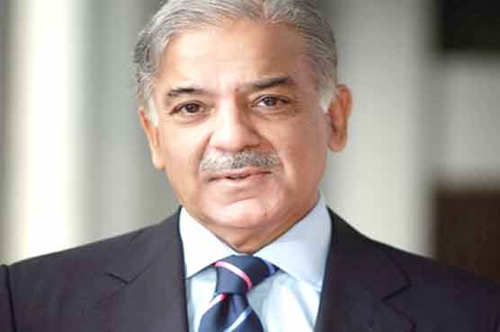 Shahbaz forms body to end energy crisis