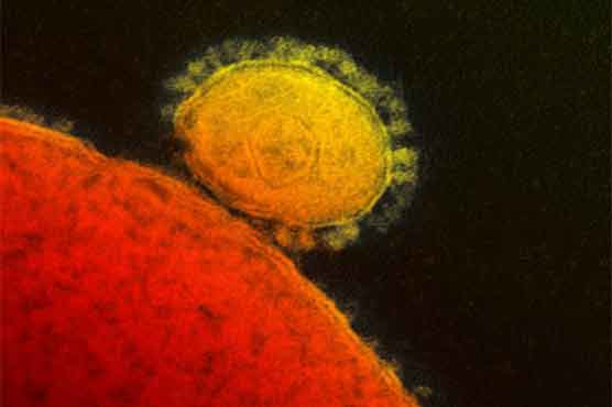KSA- Another man dies of SARS-like coronavirus MERS