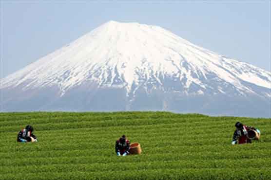  Japan cheers Mount Fuji's World Heritage listing 