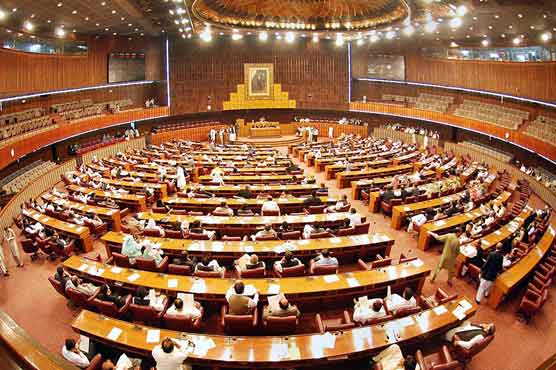 NA unanimously adopts resolution against tourists' killing