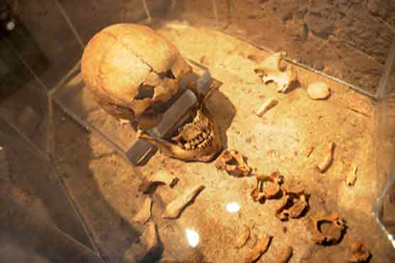 Man selling coffin filled with skeleton gets questioned