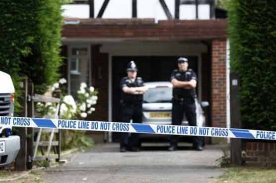 UK police arrest brother in Alps killing