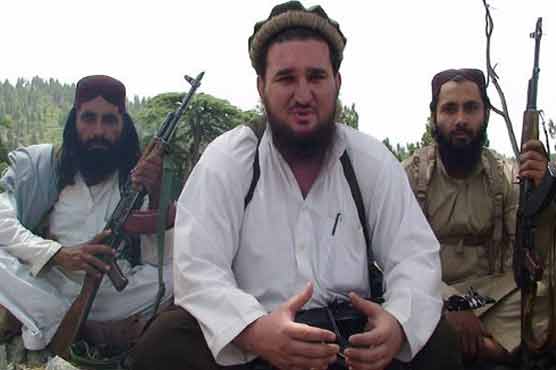Pak govt has no authority to hold talks: TTP 