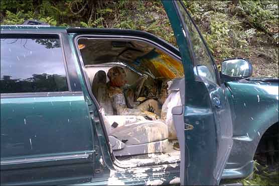 Car crash covers driver and dog in paint 