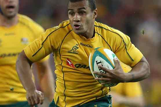 Wallabies prepare for must-win test vs Lions 