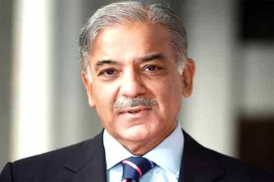 Turkish company will invest in energy sector: Punjab CM