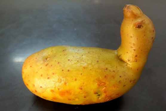 Man refuses to eat potato that looks like a duck