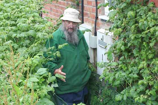 Postmen avoid pensioner's home over raspberry bush 