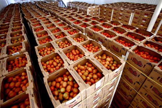 Mexico, US sign tomato pricing agreement