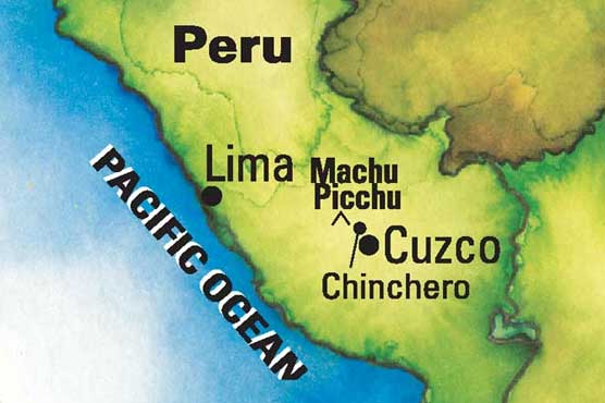 Nine dead in Peru plane crash: police