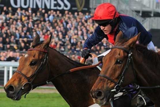 Bob's Worth wins Cheltenham Gold Cup