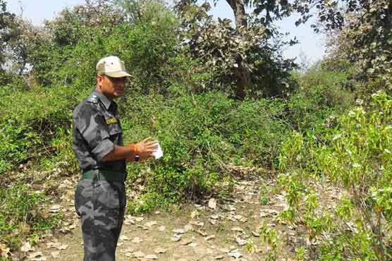 Swiss tourist gang-raped in central India