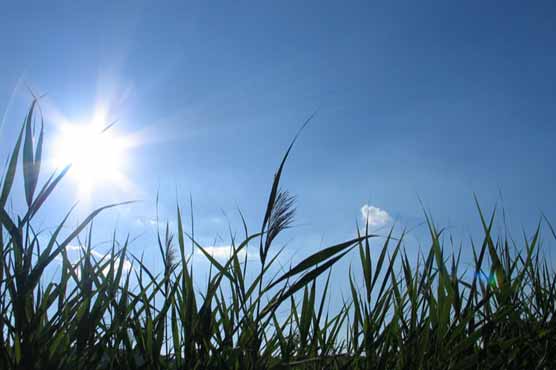Met Office predicts dry weather in most areas