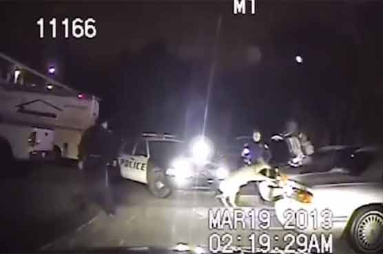  'Dead' deer escapes from car boot