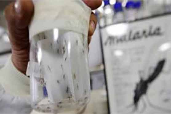 Altering mosquito genome could now help control dengue fever