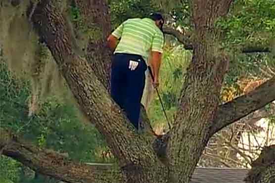 Garcia plays a shot from up in a tree at Bay Hill