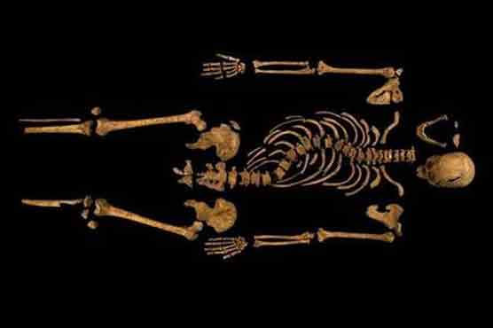 Battle rages over bones of England's Richard III 