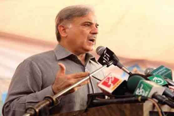Shahbaz holds PPP responsible for destroying institutions