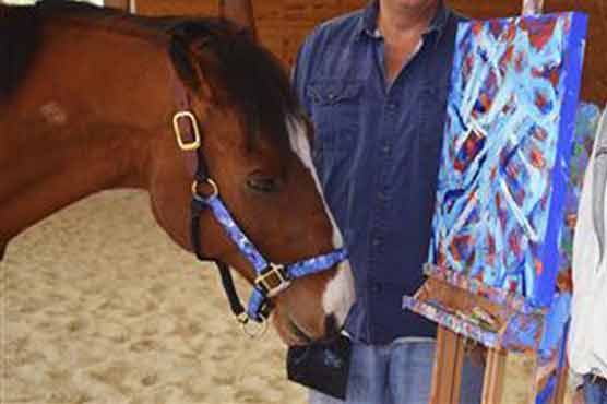 Retired race horse takes up painting as hobby
