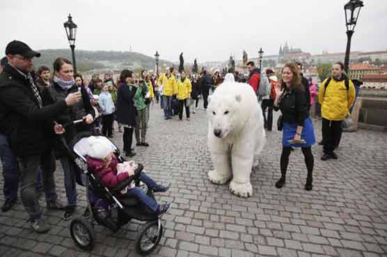 Acidification of Arctic Ocean alarms scientists 