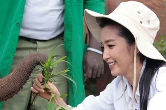 Chinese actress feeds Kenya's orphan elephants