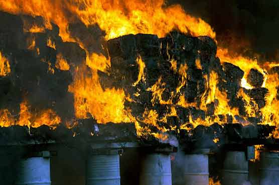 Morocco burns 10 tons of hashish