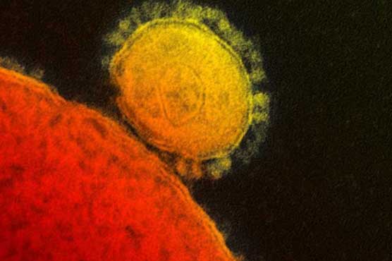 SARS-like virus in Saudi Arabia has killed 15: minister   