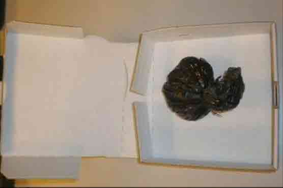 Pizza deliveryman nabbed for selling cocaine in boxes