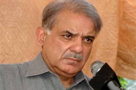 Protestors must accept public mandate: Shahbaz 