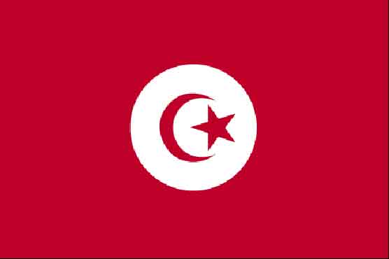 Tunisian girl held for making immoral gestures online 