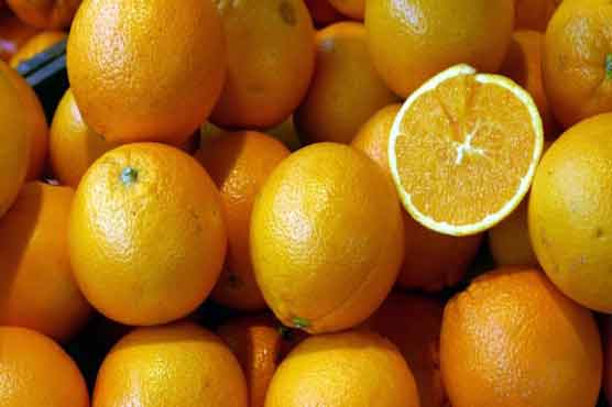 Accidental find shown Vitamin C kills tuberculosis   