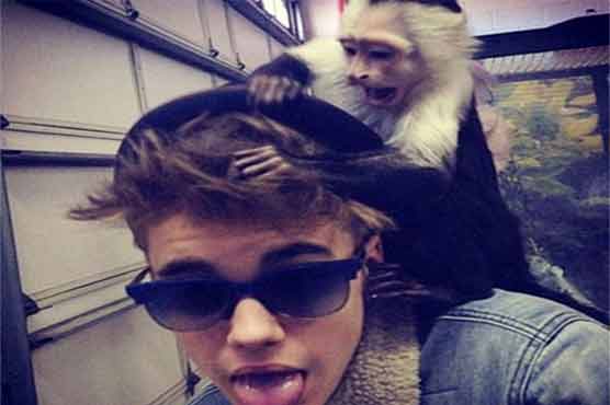 Bieber's pet monkey becomes 'German'