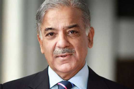 Nawaz nominates Shahbaz as Punjab CM